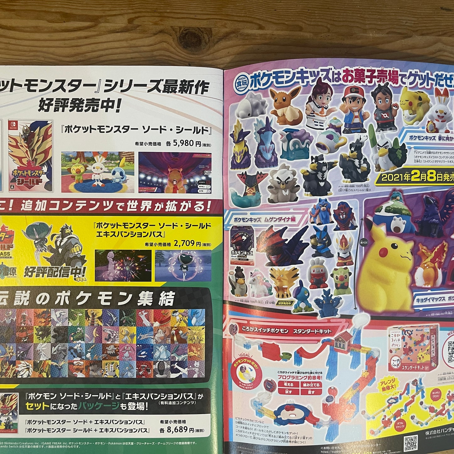 劇場版ポケットモンスター ココ 公式パンフレット / Pokémon the Movie: Secrets of the Jungle Official Pamphlet