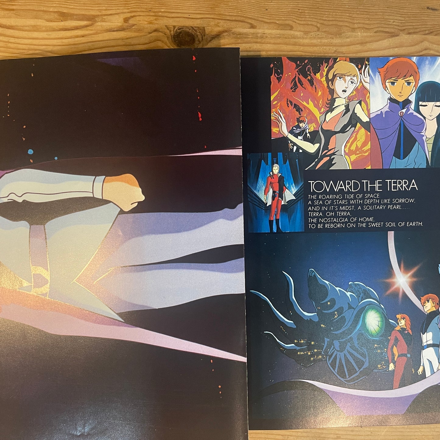 映画 地球へ... (1980) 公式パンフレット / Toward the Terra (1980) Official Movie Pamphlet