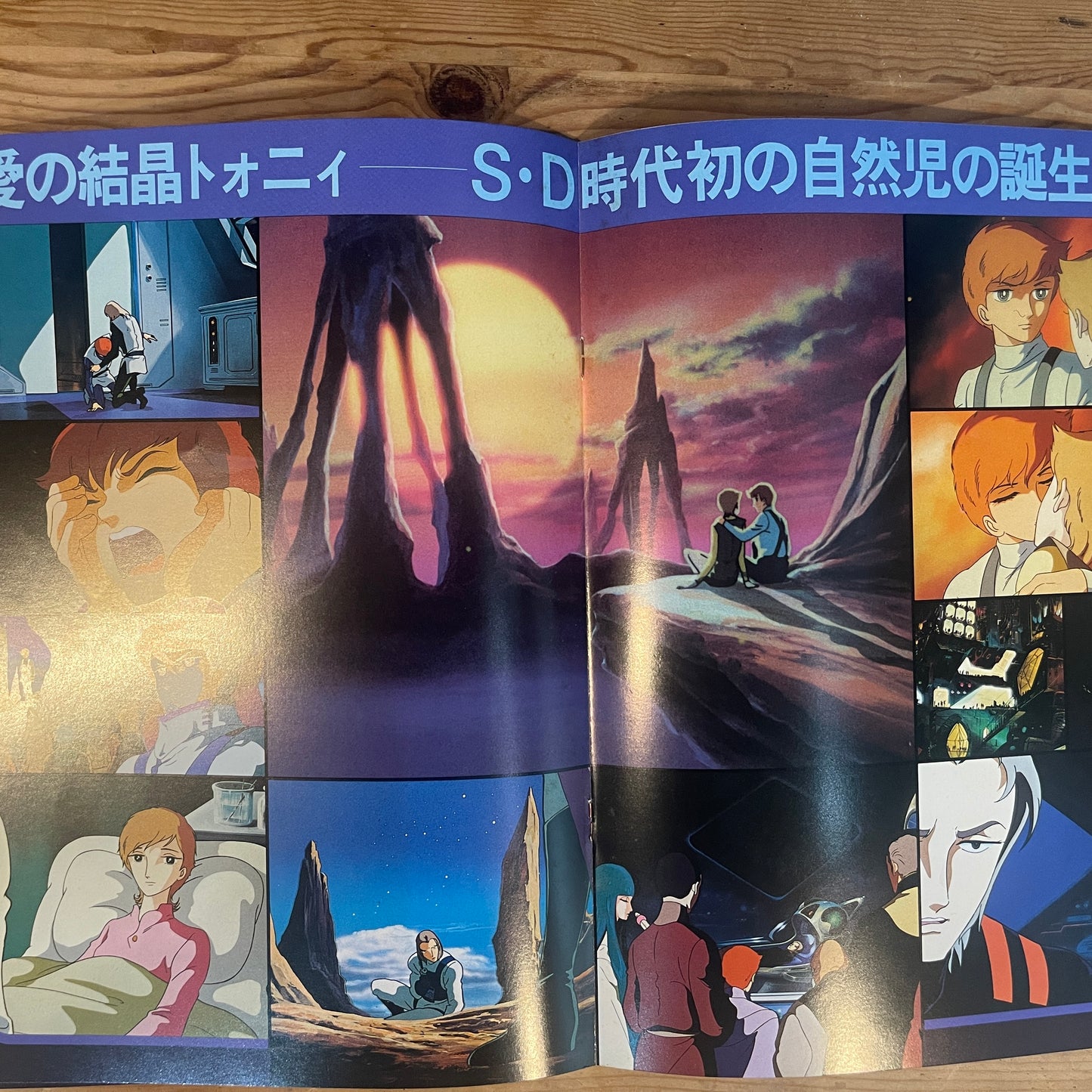 映画 地球へ... (1980) 公式パンフレット / Toward the Terra (1980) Official Movie Pamphlet