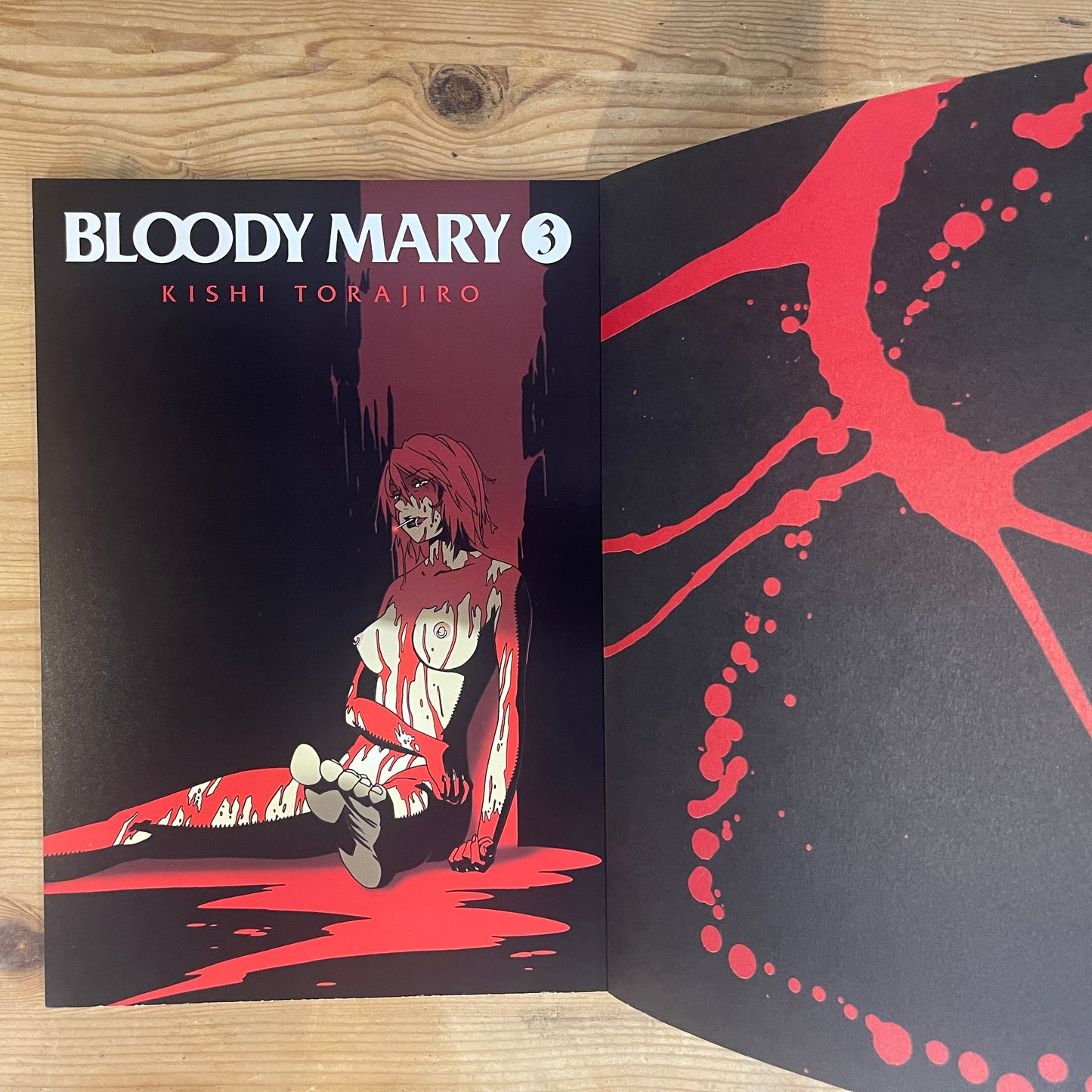 BLOODY MARY ヤングジャンプ・コミックス 岸虎次郎 / BLOODY MARY Young Jump Comics by Torajiro Kishi
