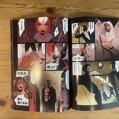 BLOODY MARY ヤングジャンプ・コミックス 岸虎次郎 / BLOODY MARY Young Jump Comics by Torajiro Kishi