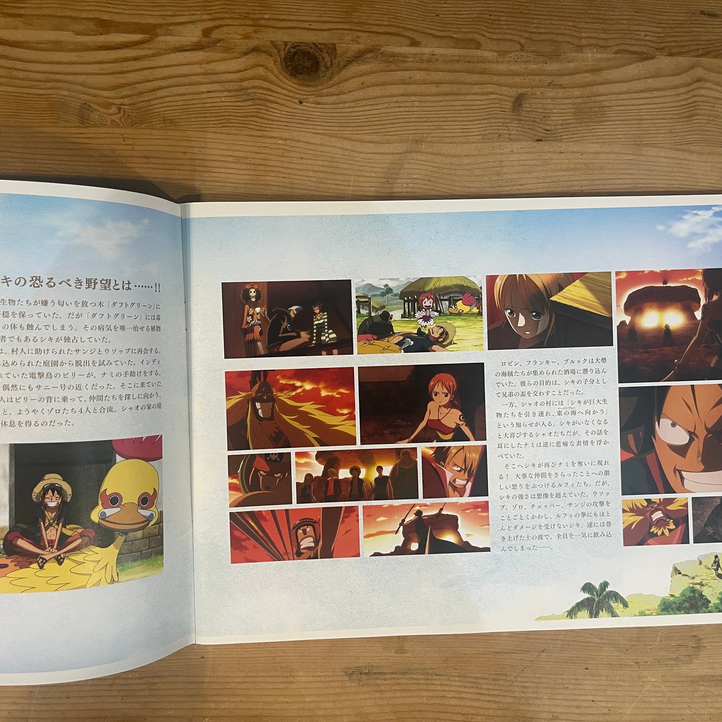 映画 ONE PIECE FILM STRONG WORLD 公式パンフレット / ONE PIECE FILM STRONG WORLD Official Movie Pamphlet
