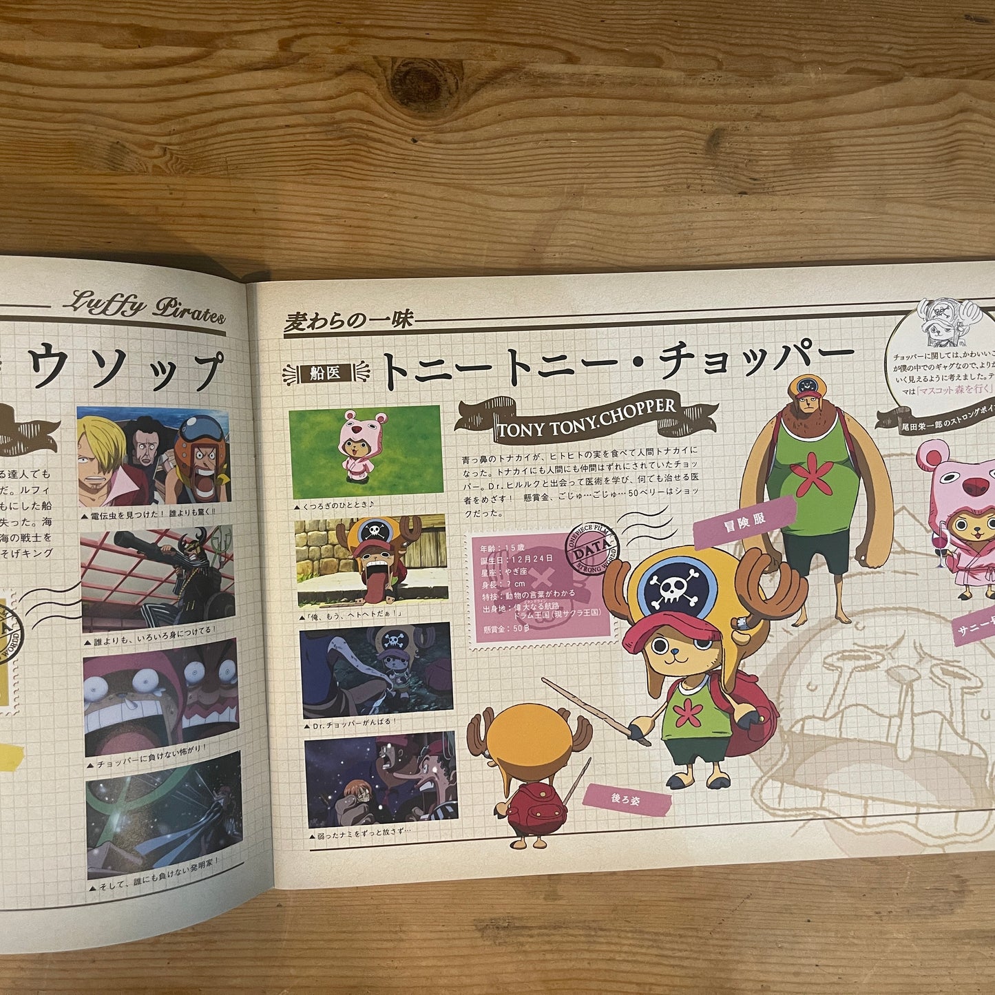 映画 ONE PIECE FILM STRONG WORLD 公式パンフレット / ONE PIECE FILM STRONG WORLD Official Movie Pamphlet