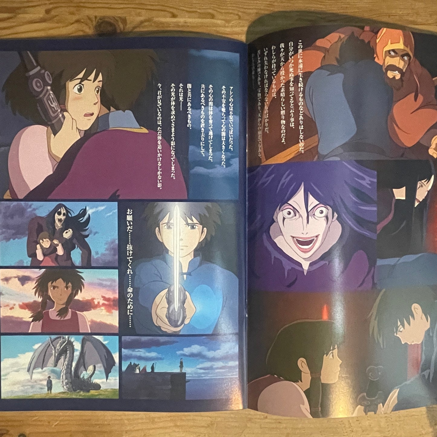 映画 ゲド戦記 公式パンフレット / Tales from Earthsea Official Movie Pamphlet