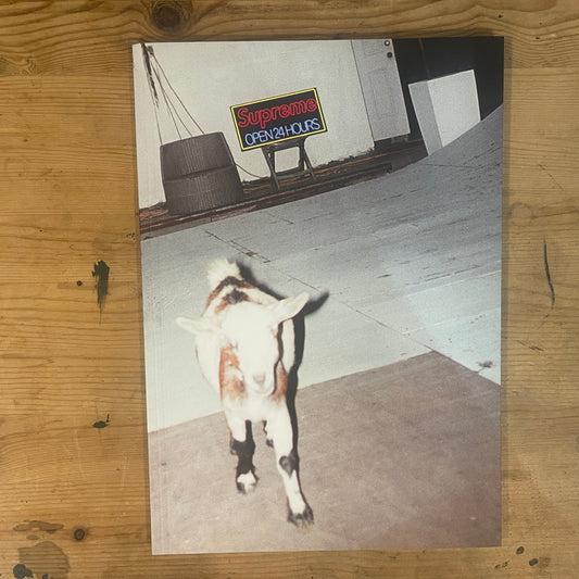 SUN DAMAGE Harmony Korine + Supreme 2021 ART BOOK / SUN DAMAGE by Harmony Korine + Supreme 2021 Art Book