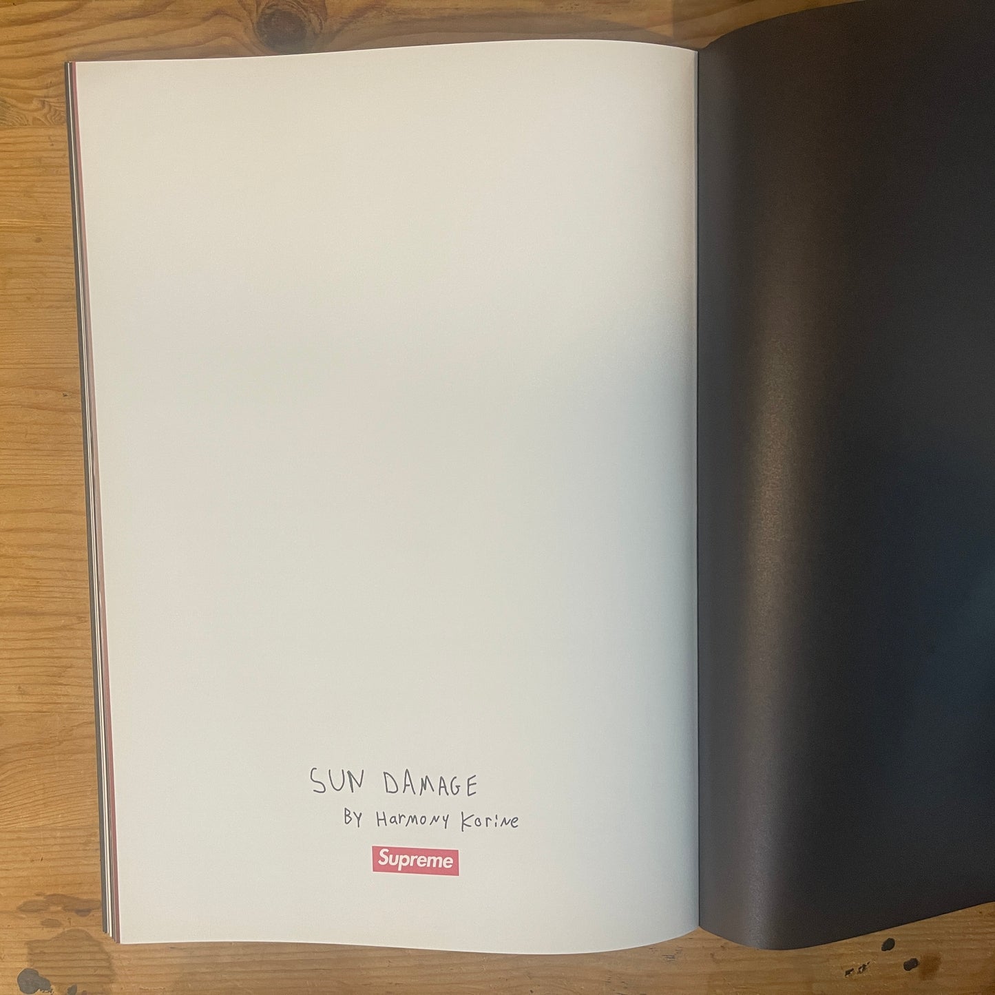 SUN DAMAGE Harmony Korine + Supreme 2021 ART BOOK / SUN DAMAGE by Harmony Korine + Supreme 2021 Art Book