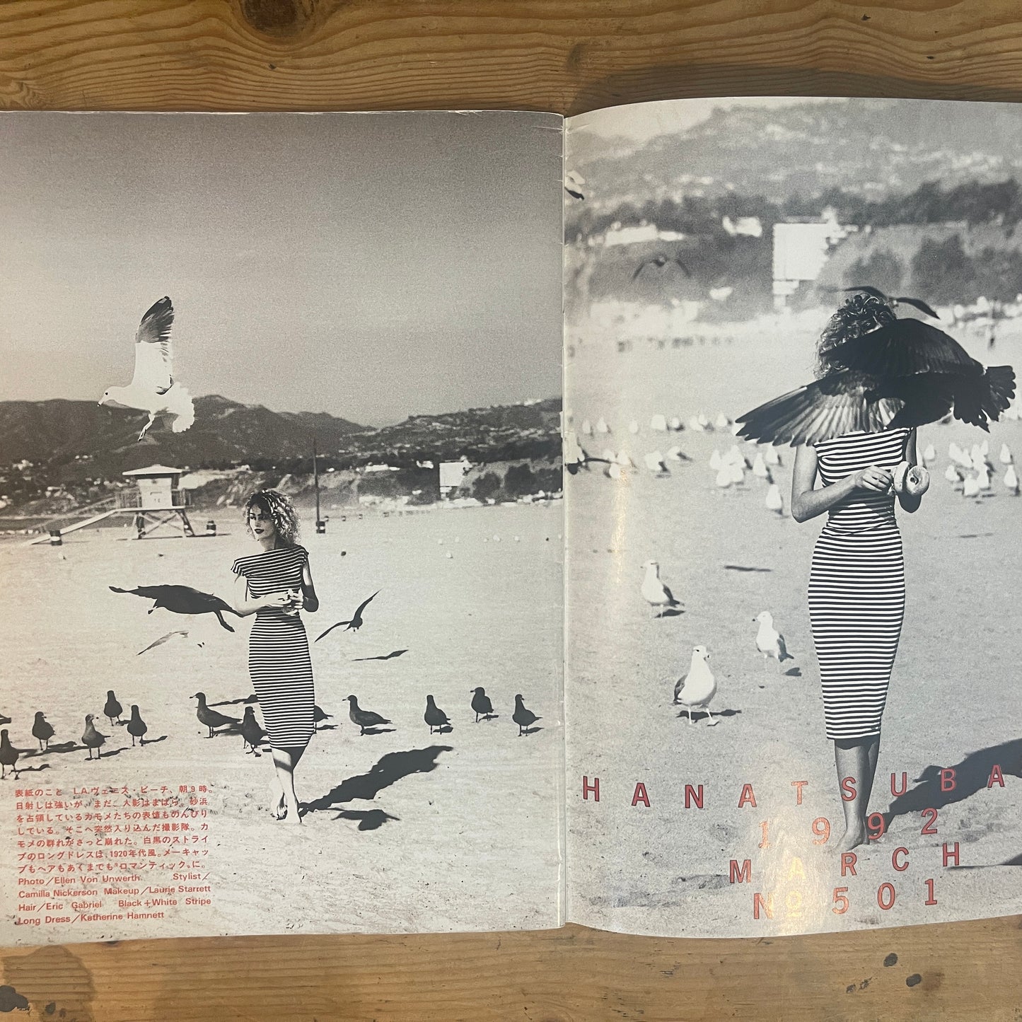 花椿 1992年3月号 No.501 特集：ワイルド・フーズ / Hanatsubaki March 1992 Issue No.501: Feature on Wild Foods