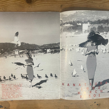 花椿 1992年3月号 No.501 特集：ワイルド・フーズ / Hanatsubaki March 1992 Issue No.501: Feature on Wild Foods