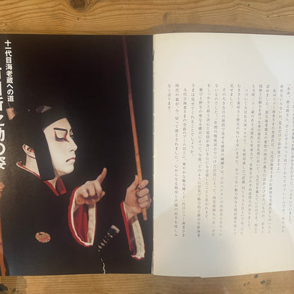 市川海老蔵十一代目襲名記念写真集 / Ebizo Ichikawa XI: Commemorative Photo Book