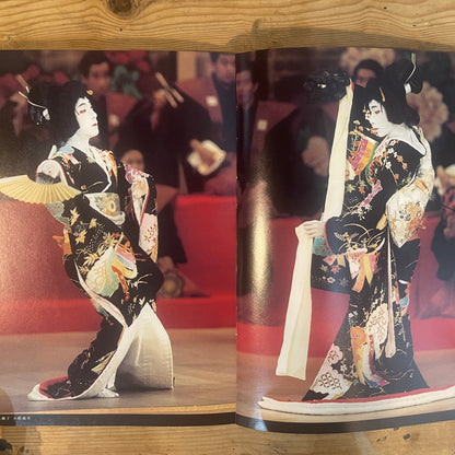 市川海老蔵十一代目襲名記念写真集 / Ebizo Ichikawa XI: Commemorative Photo Book