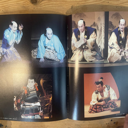 市川海老蔵十一代目襲名記念写真集 / Ebizo Ichikawa XI: Commemorative Photo Book