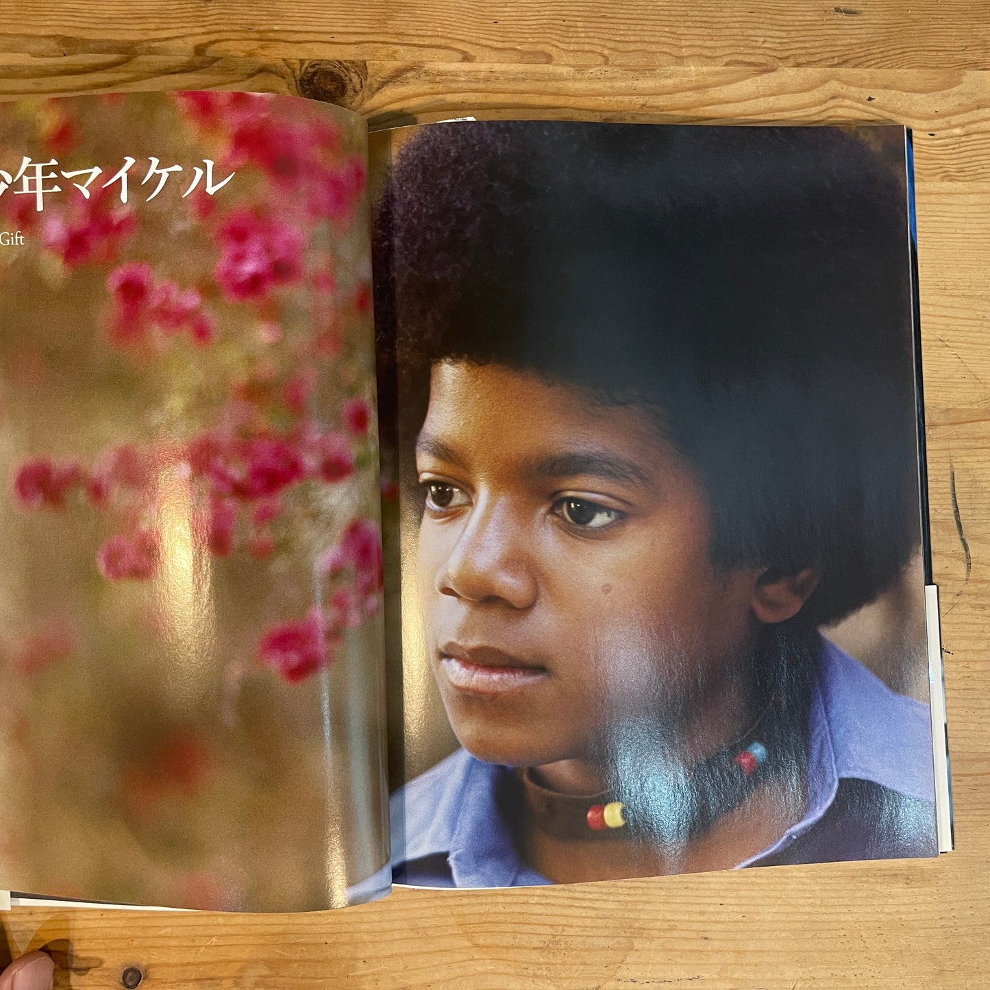 LIFE誌特別編集 マイケル・ジャクソン追悼 素顔のマイケル・ジャクソン / LIFE Magazine Special Edition: Michael Jackson Tribute