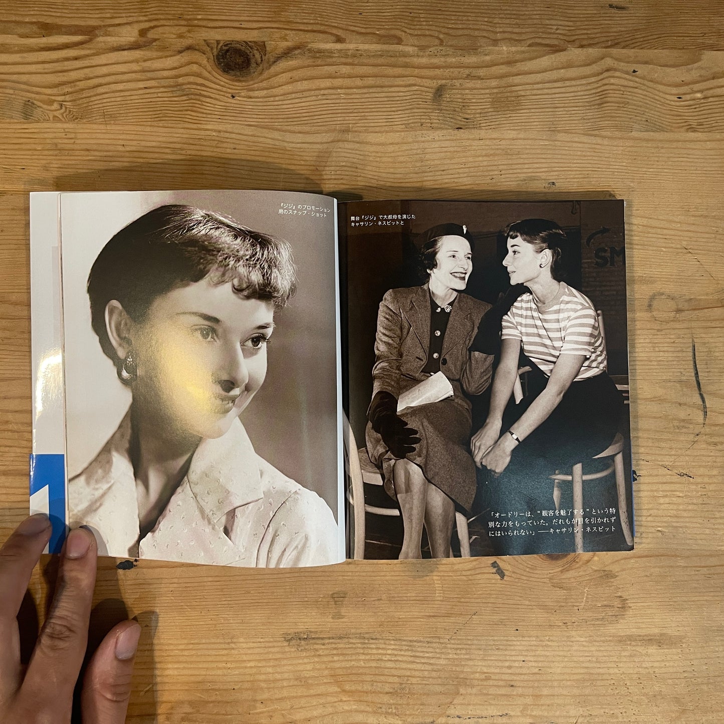 Audrey STYLE オードリー・ヘップバーン 没後20年追悼出版 / Audrey STYLE: A Tribute on the 20th Anniversary of Her Passing