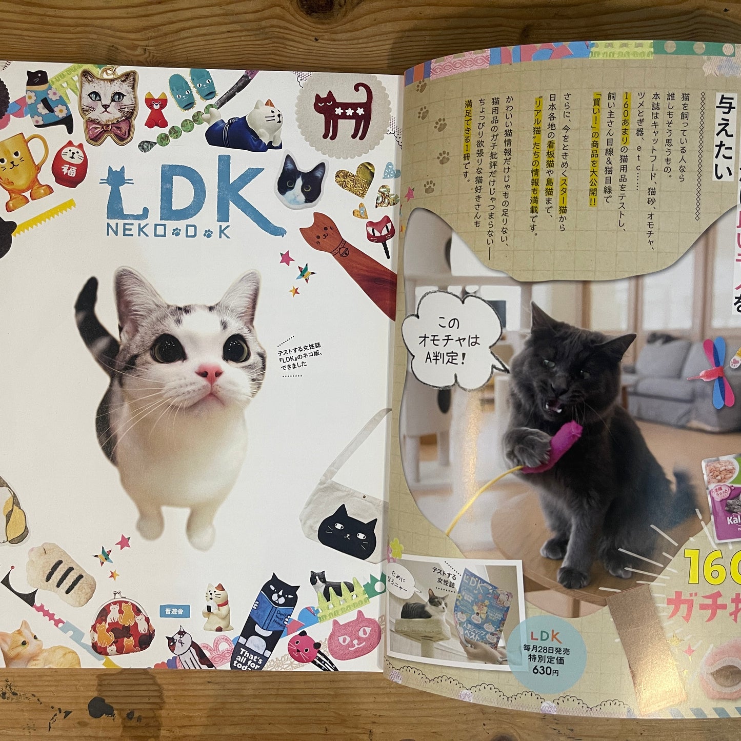 ネコDK SNSかわいいネコ大賞！ / Nekko DK SNS Cute Cat Grand Prix!