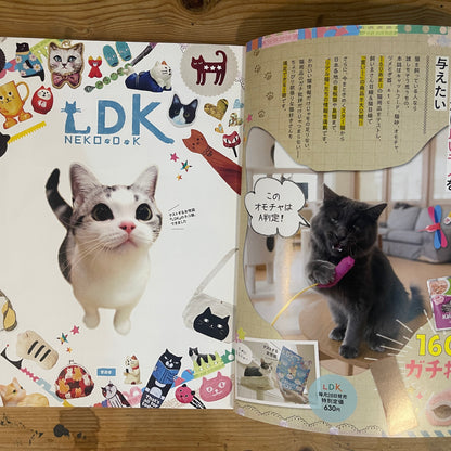 ネコDK SNSかわいいネコ大賞！ / Nekko DK SNS Cute Cat Grand Prix!