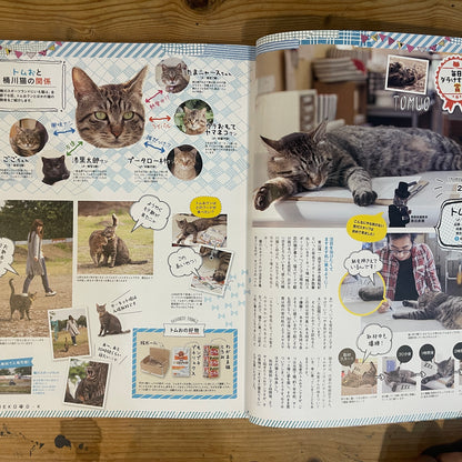 ネコDK SNSかわいいネコ大賞！ / Nekko DK SNS Cute Cat Grand Prix!