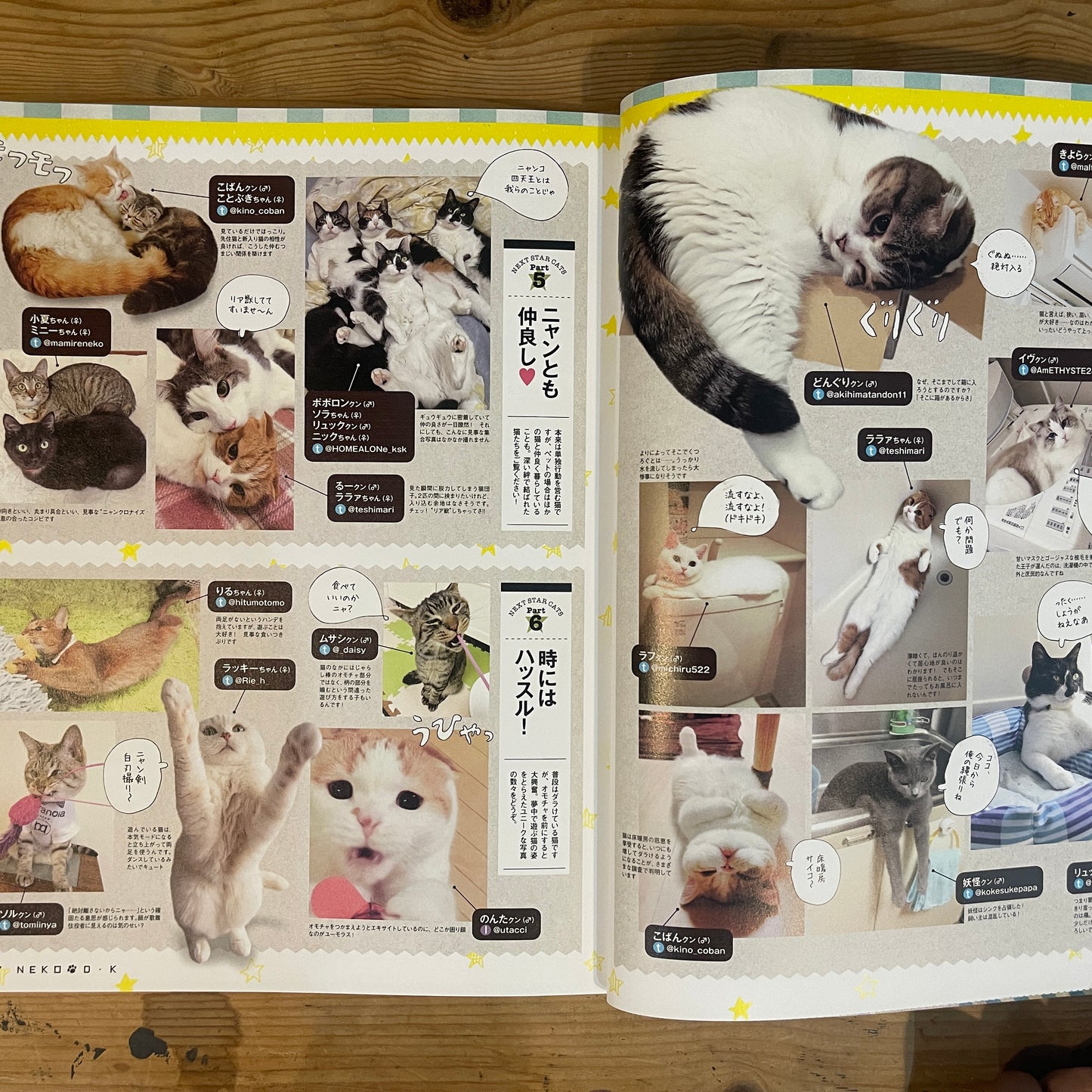 ネコDK SNSかわいいネコ大賞！ / Nekko DK SNS Cute Cat Grand Prix!