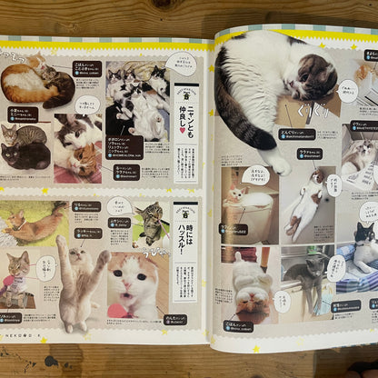ネコDK SNSかわいいネコ大賞！ / Nekko DK SNS Cute Cat Grand Prix!