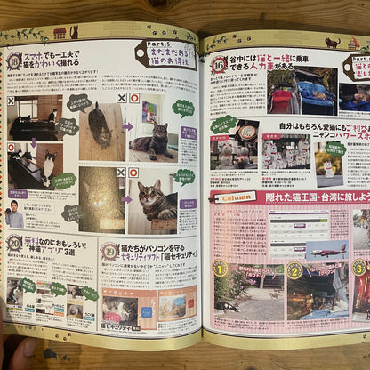 ネコDK SNSかわいいネコ大賞！ / Nekko DK SNS Cute Cat Grand Prix!