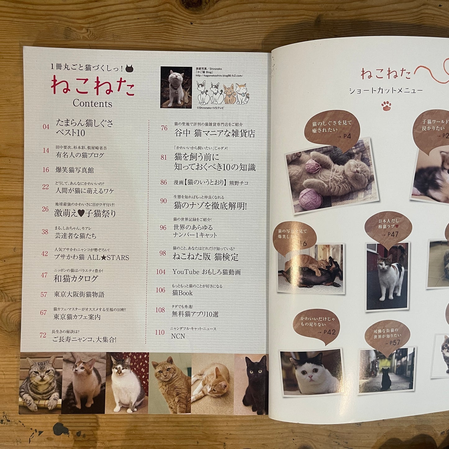 商品タイトル 1冊丸ごと猫づくしっ！ ねこねた / Nekoneta: An Entire Book About Cats!