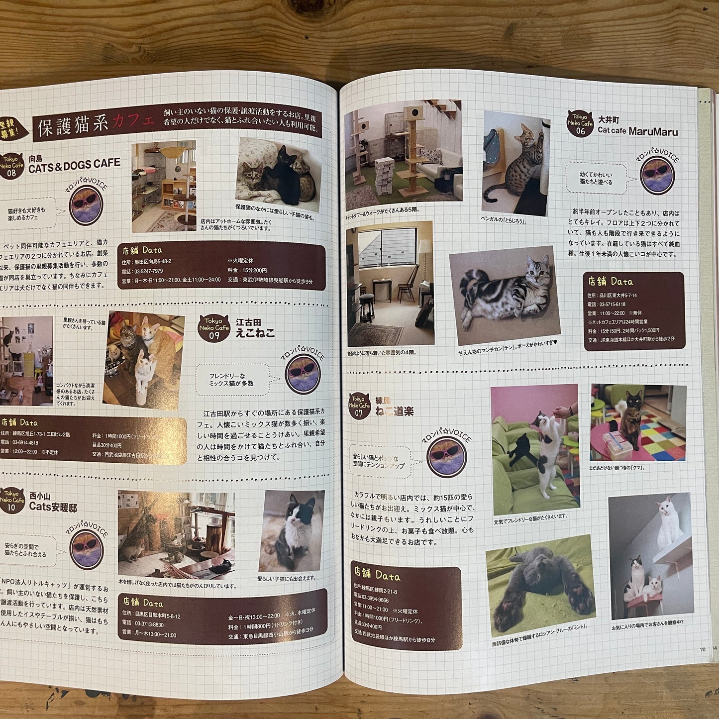 商品タイトル 1冊丸ごと猫づくしっ！ ねこねた / Nekoneta: An Entire Book About Cats!