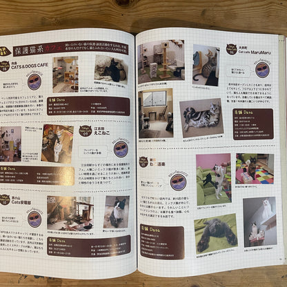 商品タイトル 1冊丸ごと猫づくしっ！ ねこねた / Nekoneta: An Entire Book About Cats!