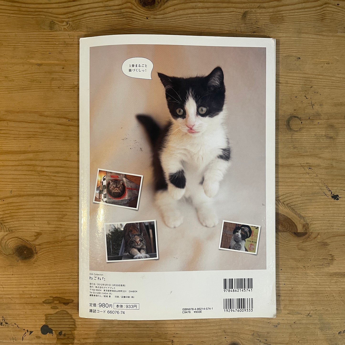 商品タイトル 1冊丸ごと猫づくしっ！ ねこねた / Nekoneta: An Entire Book About Cats!