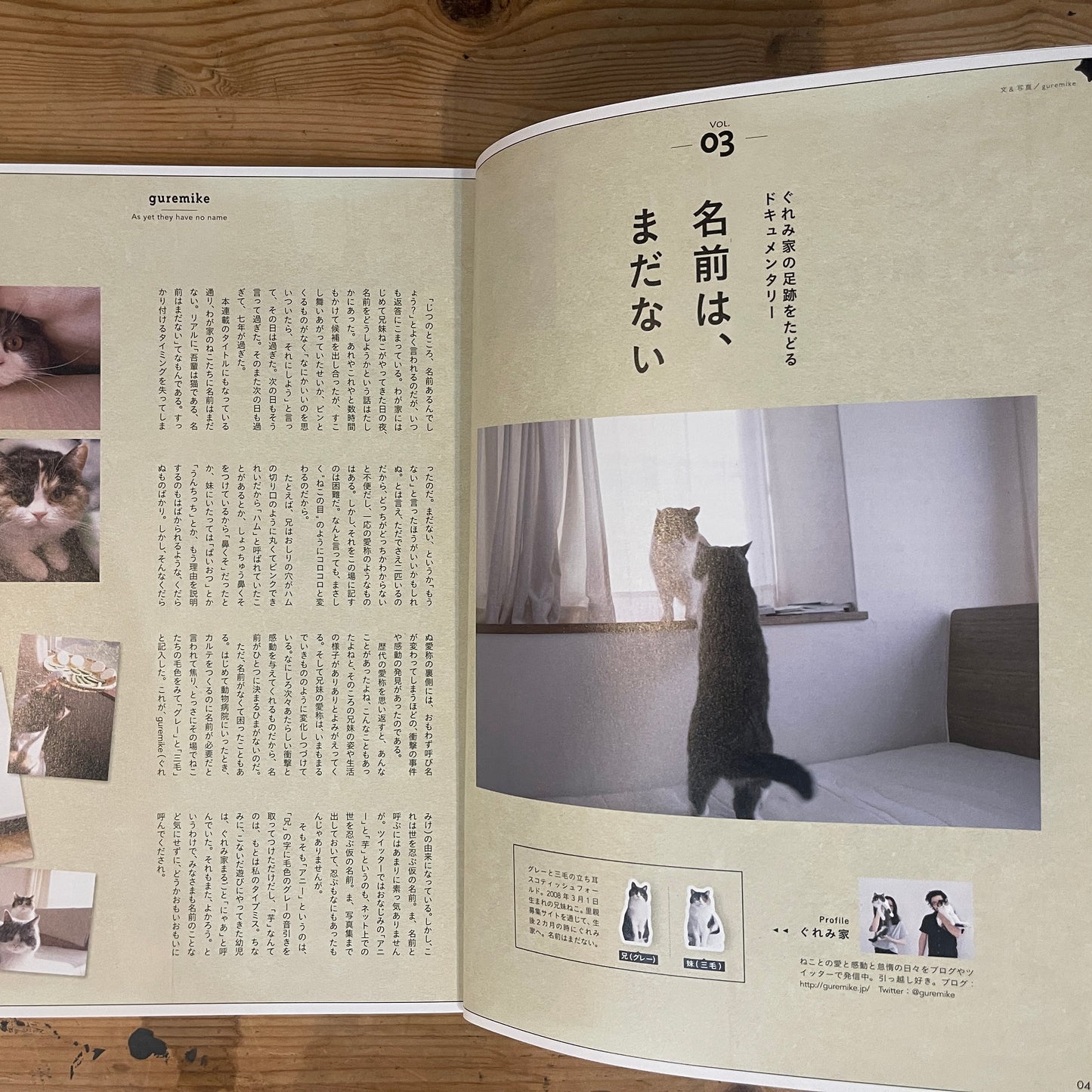 ねこ 春号 #94 SPRING 2015 横浜のねこ / Nekko (Cats) Spring 2015 #94 Cats of Yokohama