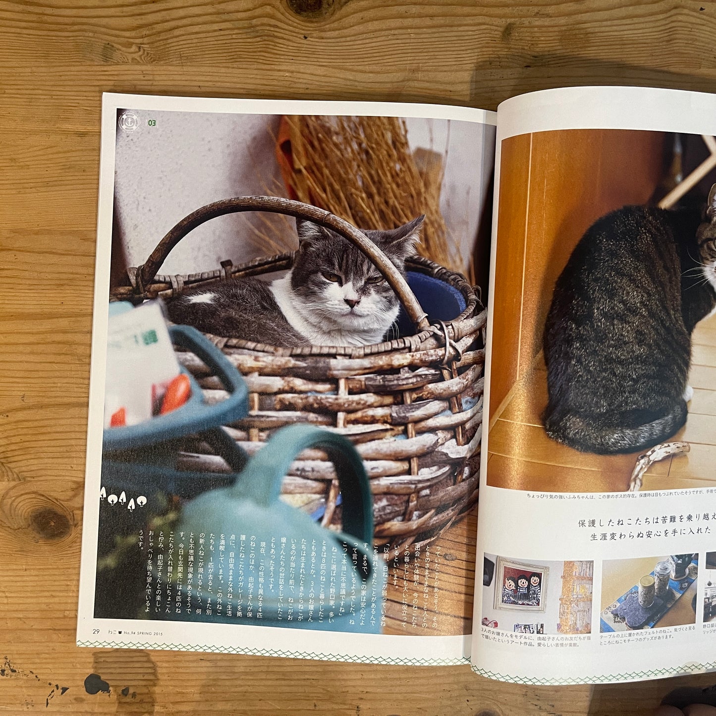 ねこ 春号 #94 SPRING 2015 横浜のねこ / Nekko (Cats) Spring 2015 #94 Cats of Yokohama