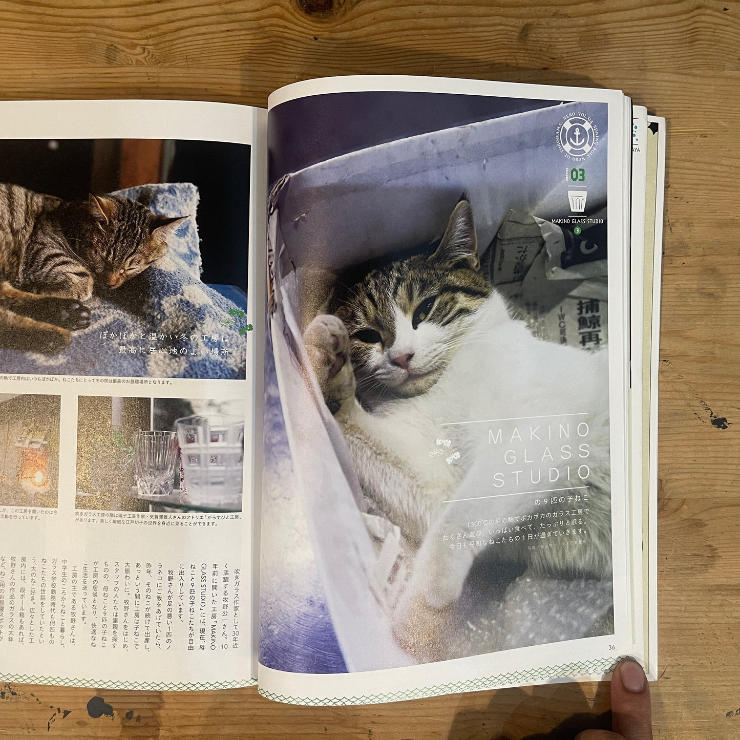 ねこ 春号 #94 SPRING 2015 横浜のねこ / Nekko (Cats) Spring 2015 #94 Cats of Yokohama