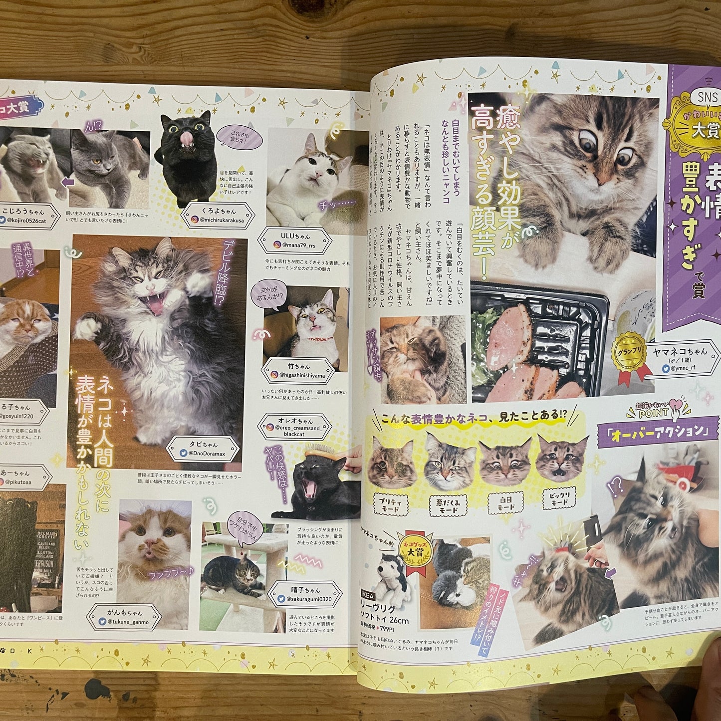 LDK特別編集 NEKO DK vol.7 SNSで超人気！かわいいネコ大賞 / LDK Special Edition NEKO DK Vol. 7 The Cutest Cats on SNS!