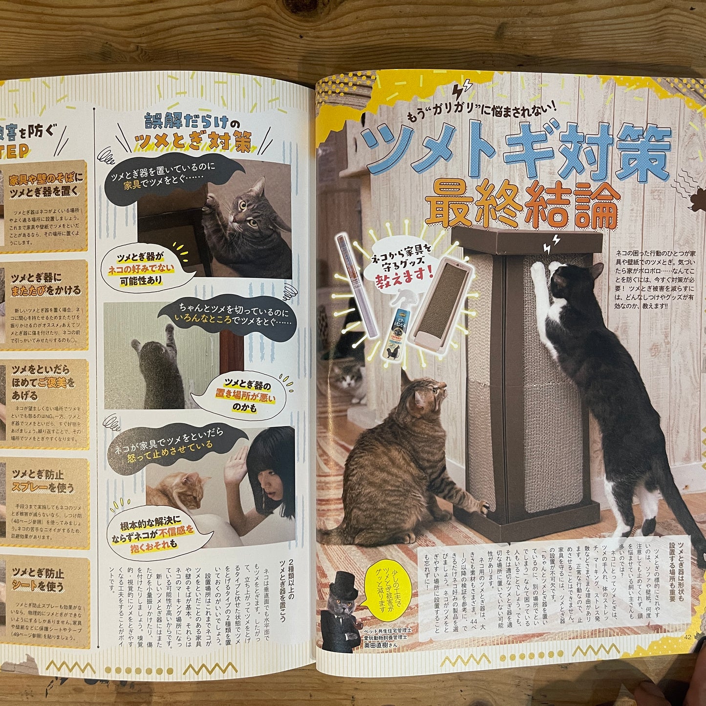 LDK特別編集 NEKO DK vol.7 SNSで超人気！かわいいネコ大賞 / LDK Special Edition NEKO DK Vol. 7 The Cutest Cats on SNS!