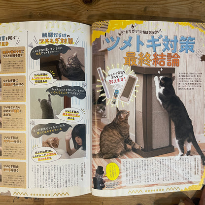 LDK特別編集 NEKO DK vol.7 SNSで超人気！かわいいネコ大賞 / LDK Special Edition NEKO DK Vol. 7 The Cutest Cats on SNS!