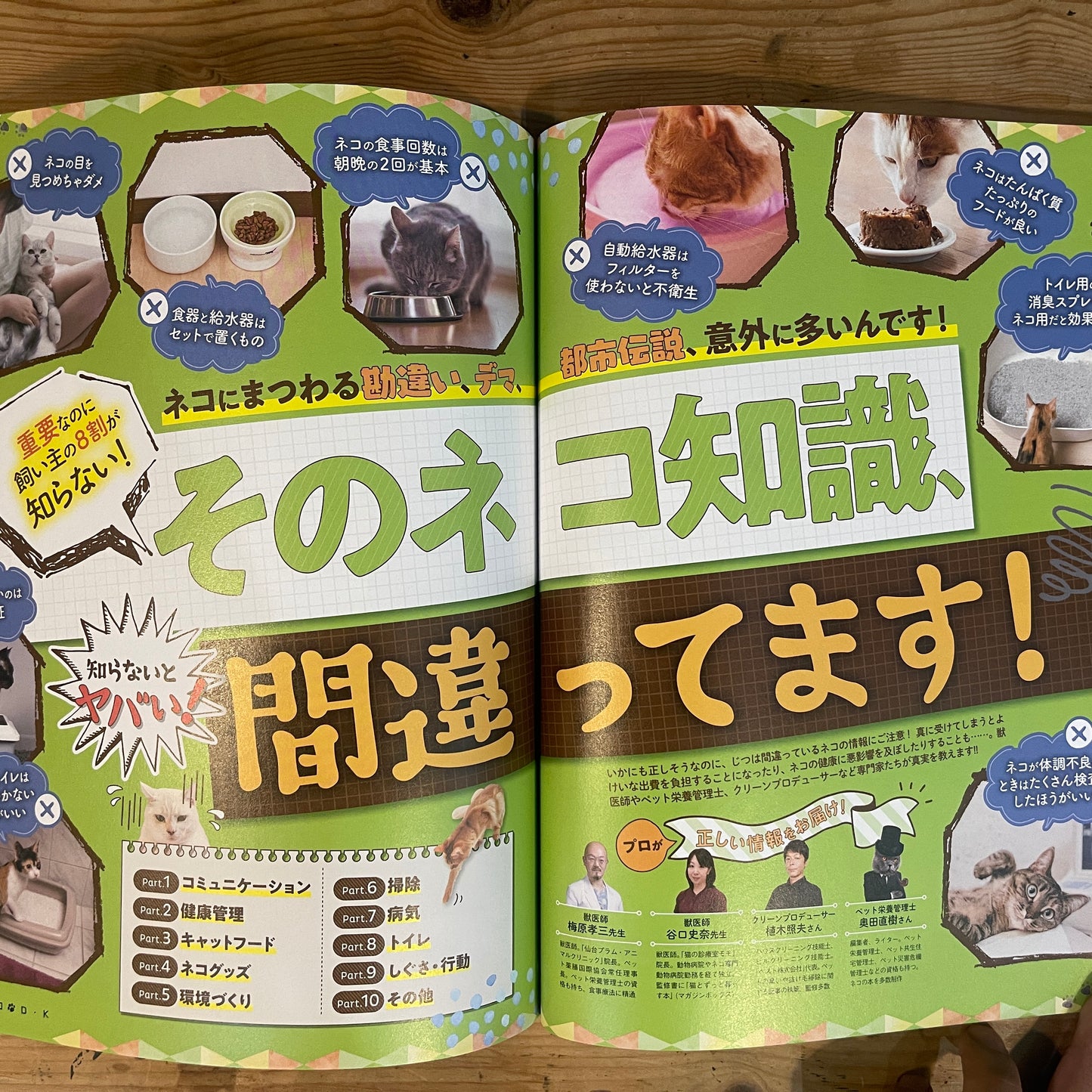 LDK特別編集 NEKO DK vol.7 SNSで超人気！かわいいネコ大賞 / LDK Special Edition NEKO DK Vol. 7 The Cutest Cats on SNS!
