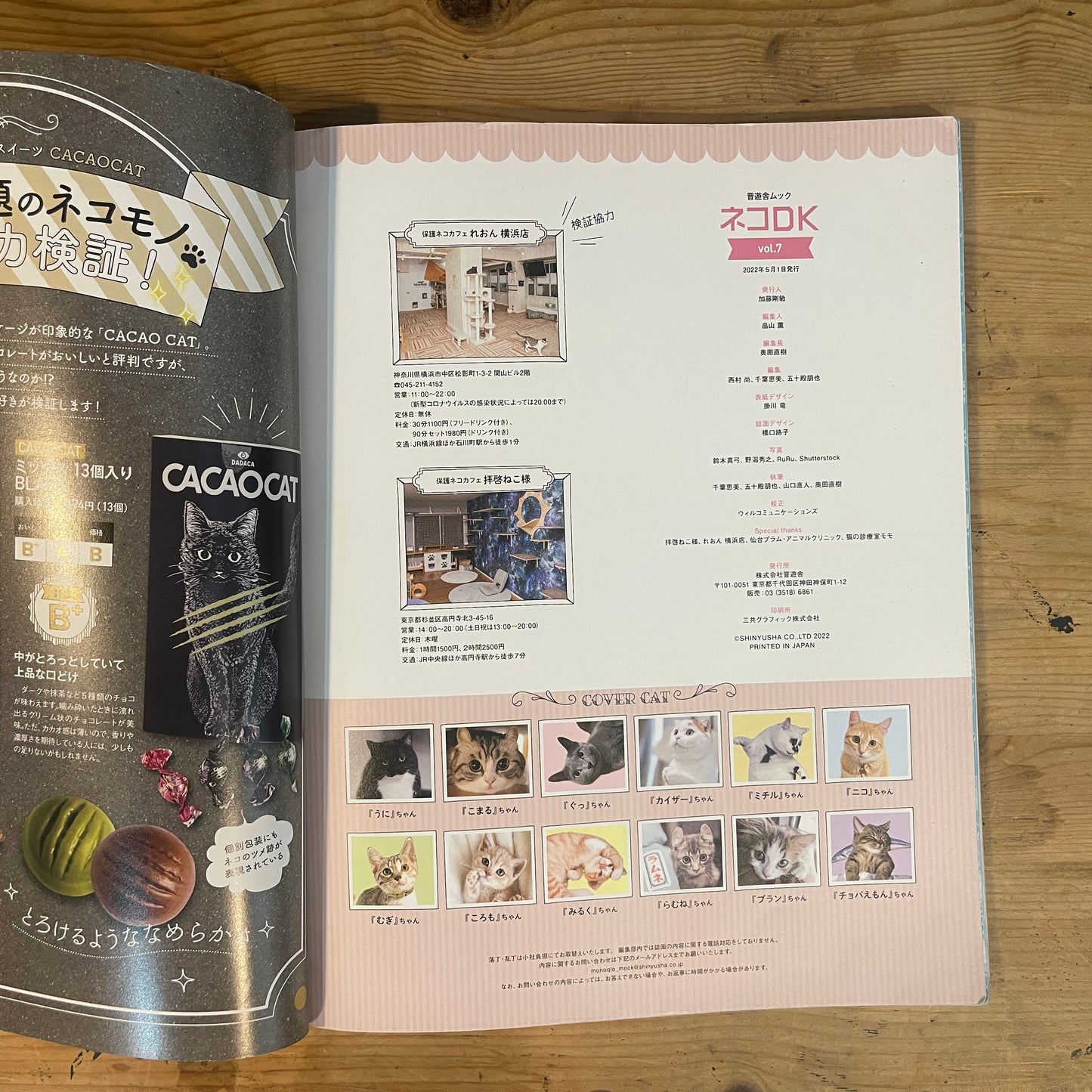 LDK特別編集 NEKO DK vol.7 SNSで超人気！かわいいネコ大賞 / LDK Special Edition NEKO DK Vol. 7 The Cutest Cats on SNS!