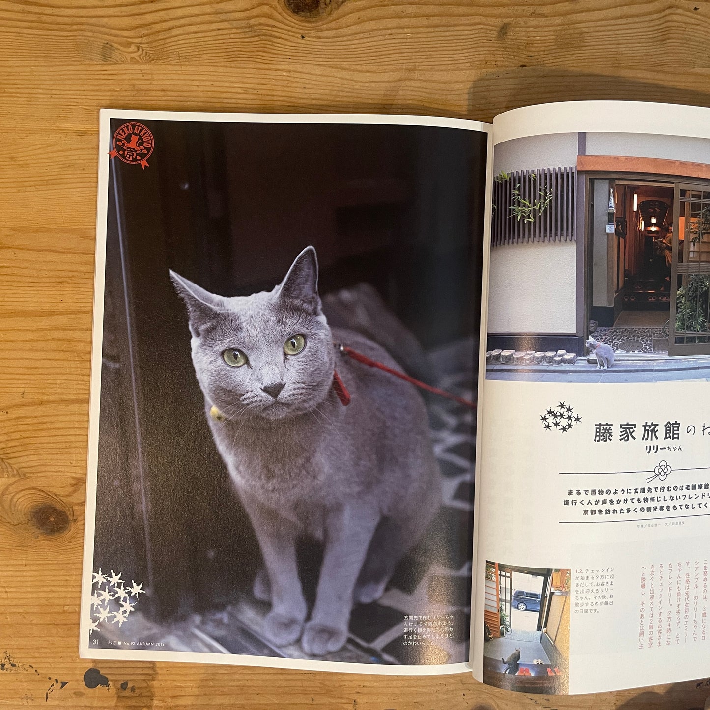 ねこ 秋号 #92 AUTUMN 2014 京都のねこ / Nekko (Cats) Autumn 2014 #92 Cats of Kyoto