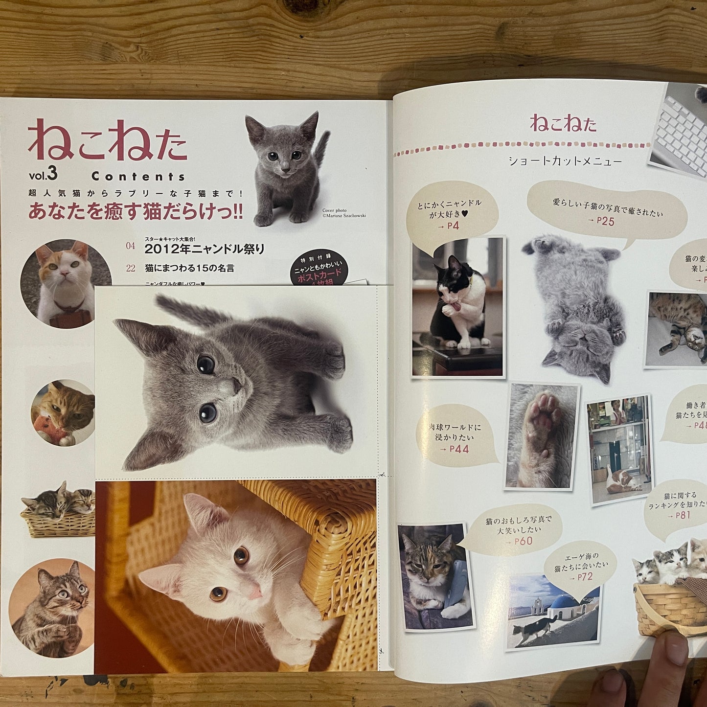 ねこねた Vol.3 猫好きによる猫好きのための猫BOOK / Nekoneta Vol.3 A Cat Book for Cat Lovers by Cat Lovers