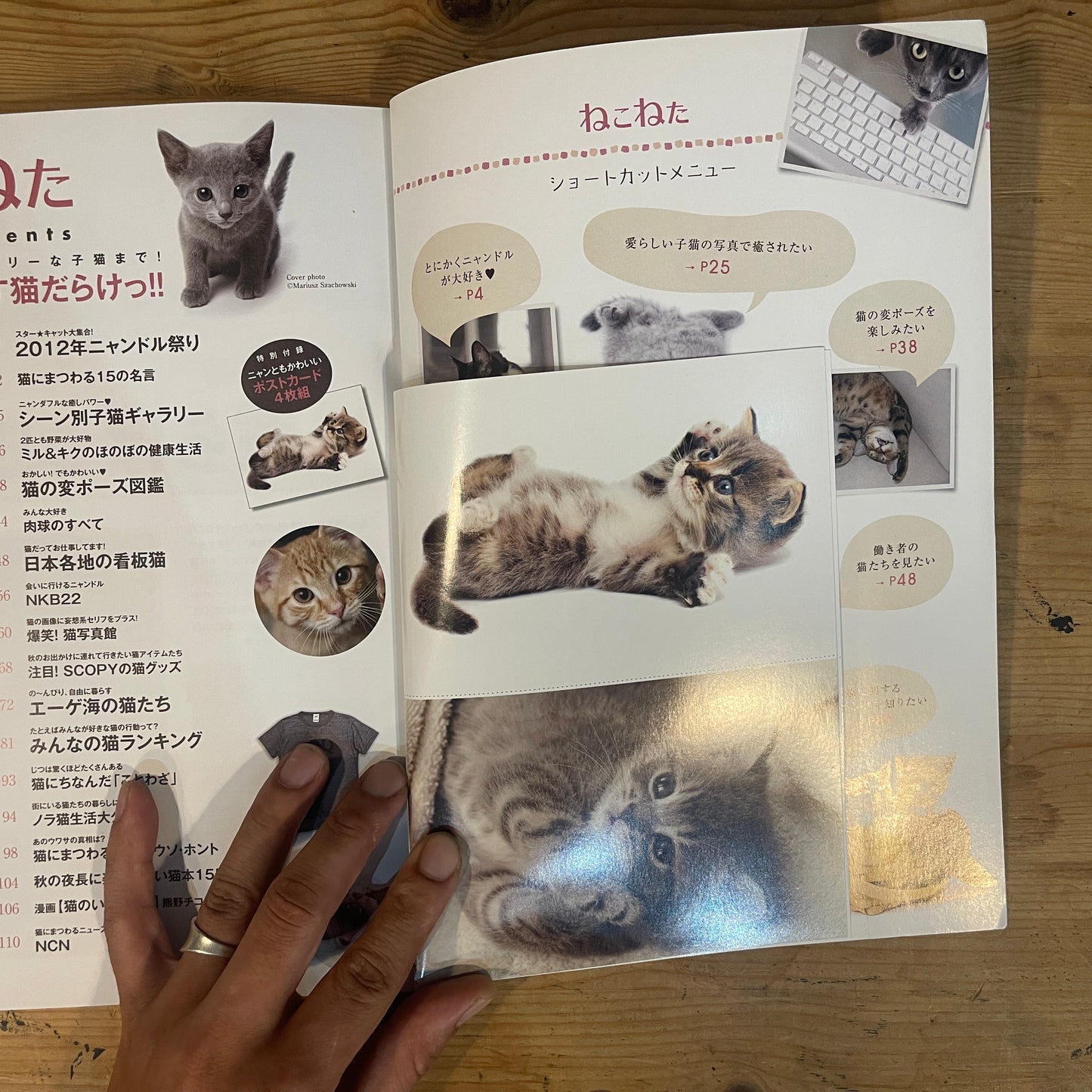 ねこねた Vol.3 猫好きによる猫好きのための猫BOOK / Nekoneta Vol.3 A Cat Book for Cat Lovers by Cat Lovers