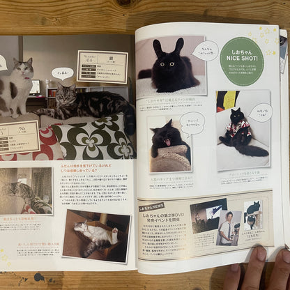 ねこねた Vol.3 猫好きによる猫好きのための猫BOOK / Nekoneta Vol.3 A Cat Book for Cat Lovers by Cat Lovers