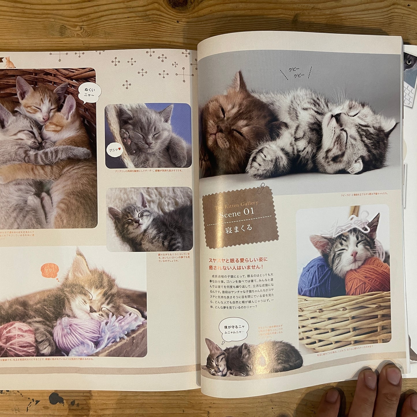 ねこねた Vol.3 猫好きによる猫好きのための猫BOOK / Nekoneta Vol.3 A Cat Book for Cat Lovers by Cat Lovers