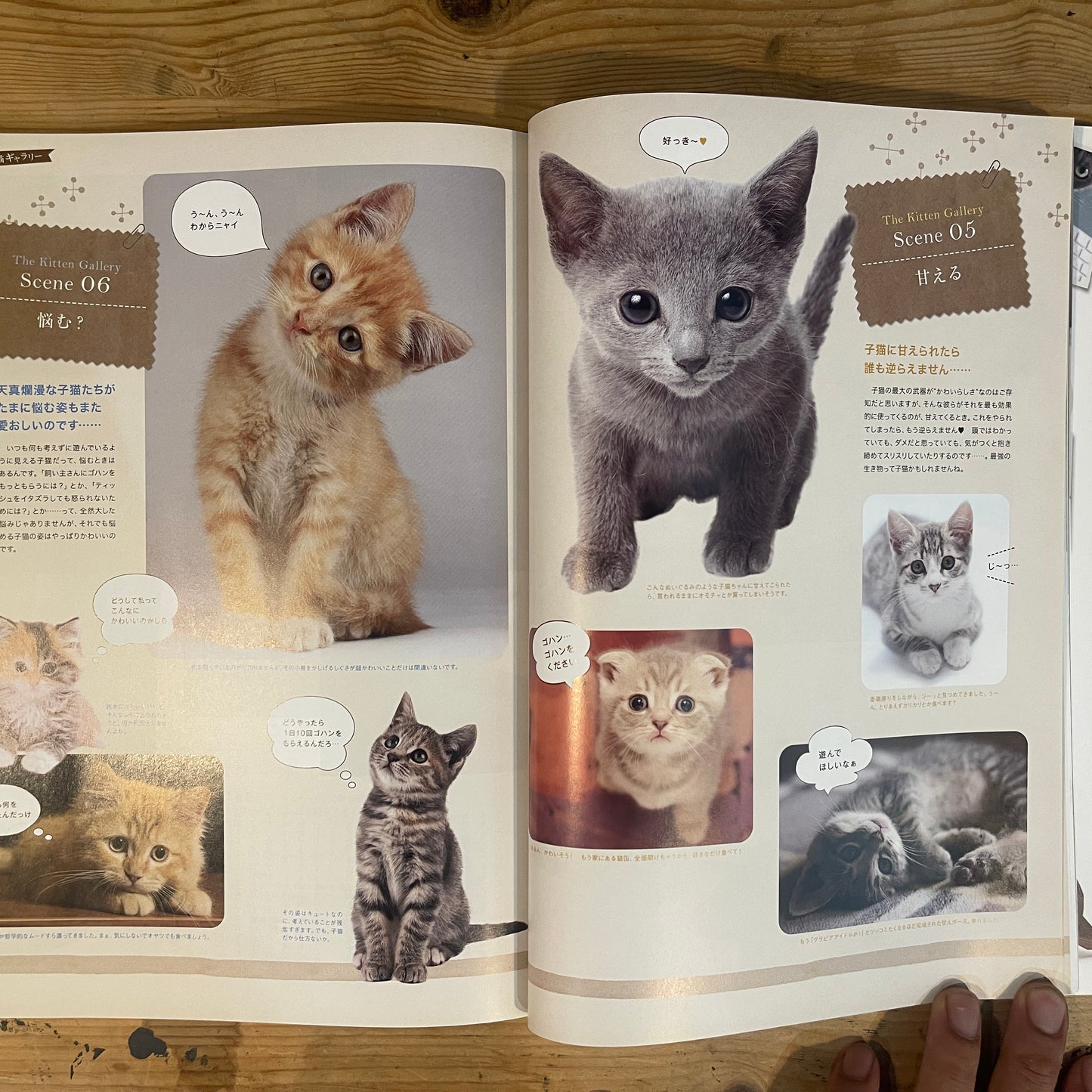 ねこねた Vol.3 猫好きによる猫好きのための猫BOOK / Nekoneta Vol.3 A Cat Book for Cat Lovers by Cat Lovers