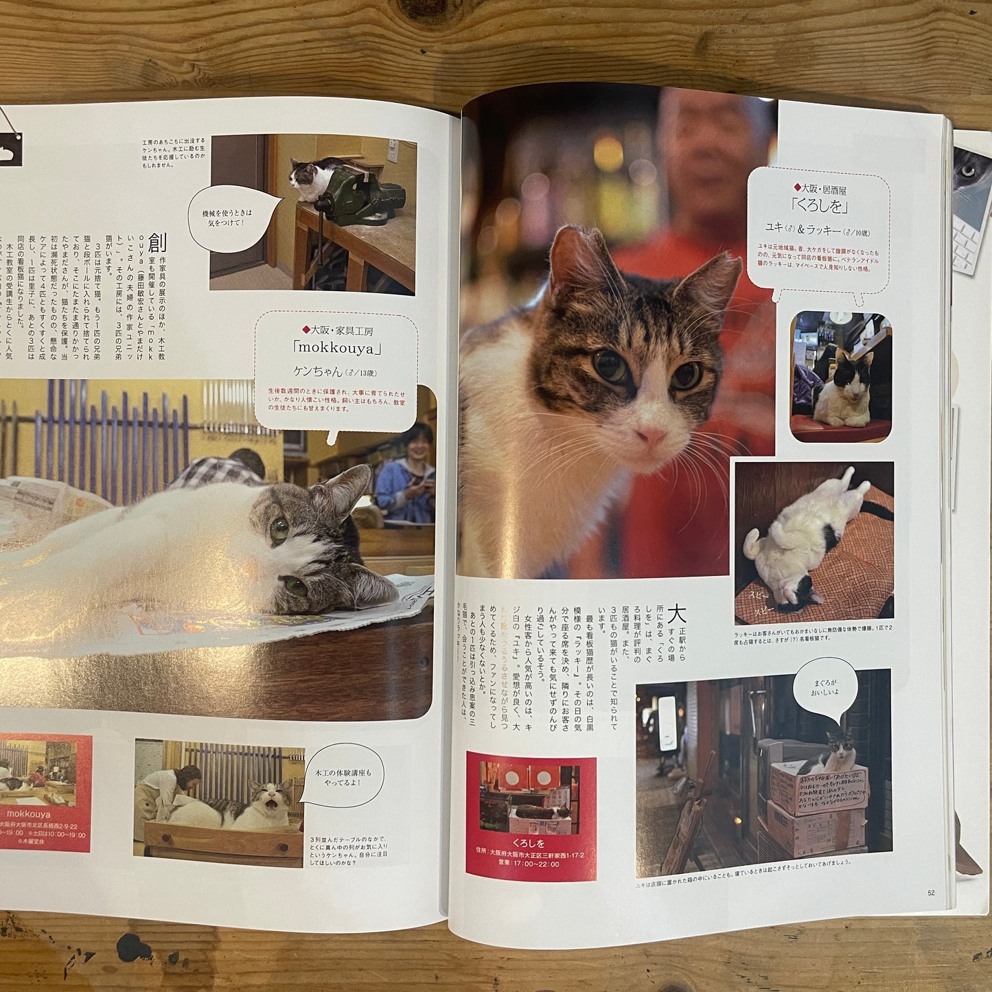 ねこねた Vol.3 猫好きによる猫好きのための猫BOOK / Nekoneta Vol.3 A Cat Book for Cat Lovers by Cat Lovers