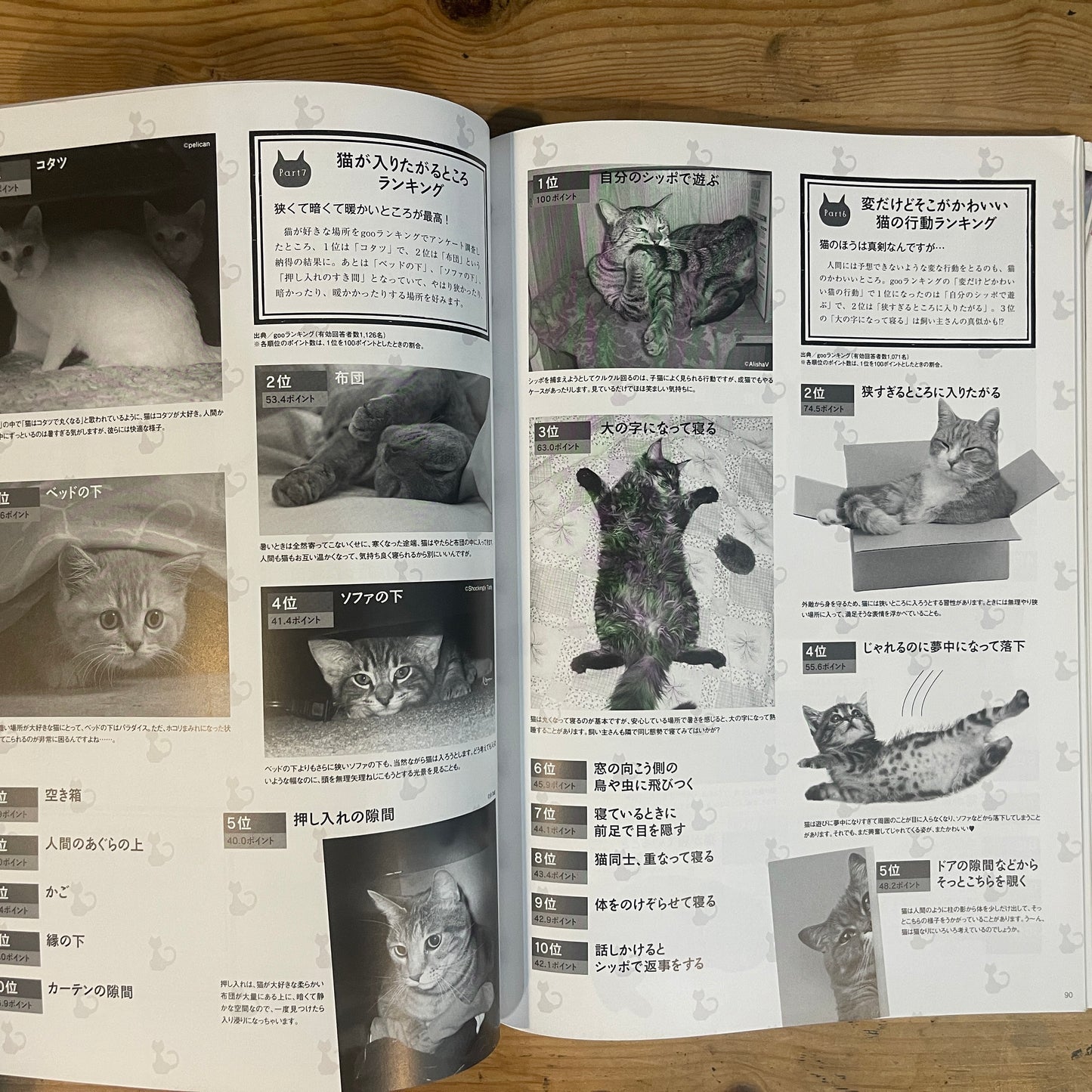 ねこねた Vol.3 猫好きによる猫好きのための猫BOOK / Nekoneta Vol.3 A Cat Book for Cat Lovers by Cat Lovers