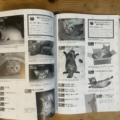 ねこねた Vol.3 猫好きによる猫好きのための猫BOOK / Nekoneta Vol.3 A Cat Book for Cat Lovers by Cat Lovers