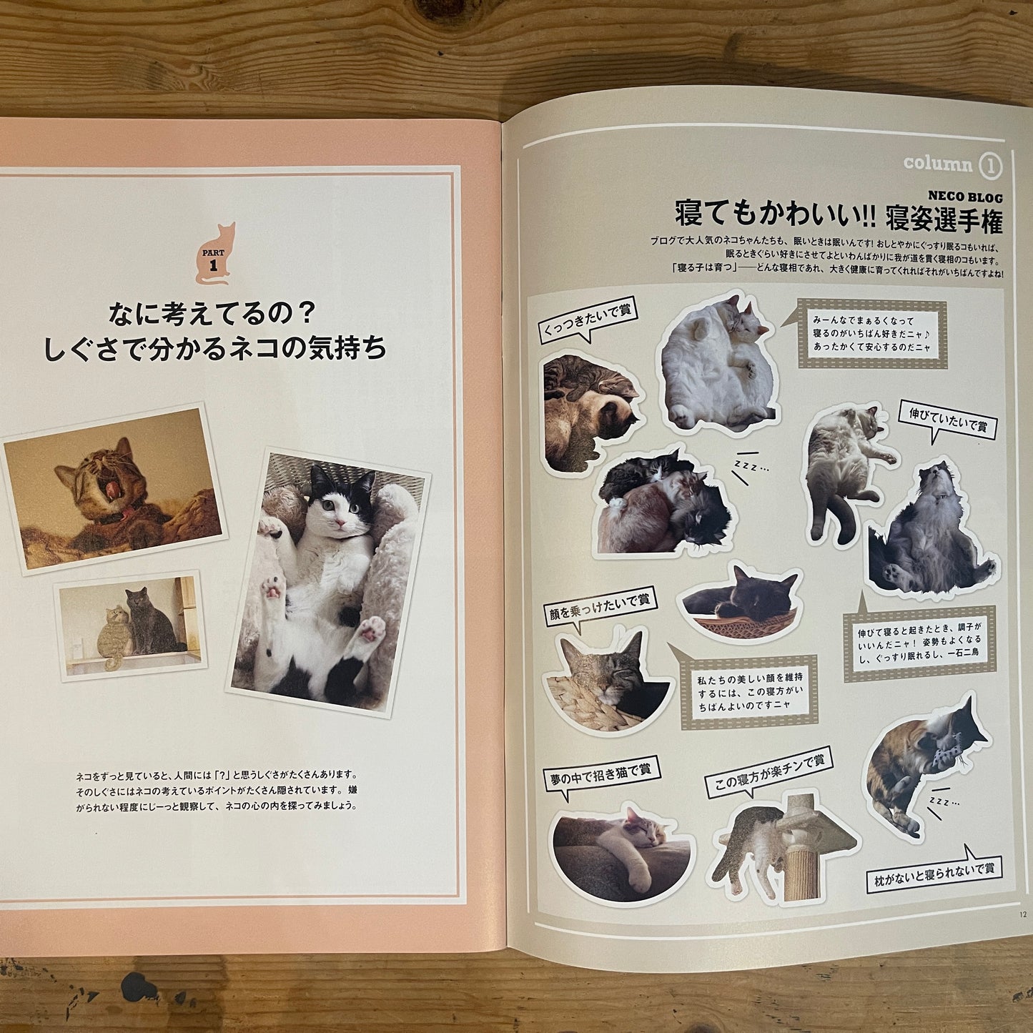 いちばんやさしい ネコの気持ちがわかる本 / The Easiest Guide to Understanding Your Cat