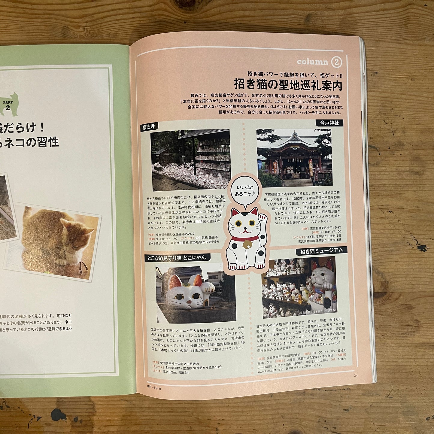 いちばんやさしい ネコの気持ちがわかる本 / The Easiest Guide to Understanding Your Cat