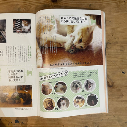 いちばんやさしい ネコの気持ちがわかる本 / The Easiest Guide to Understanding Your Cat