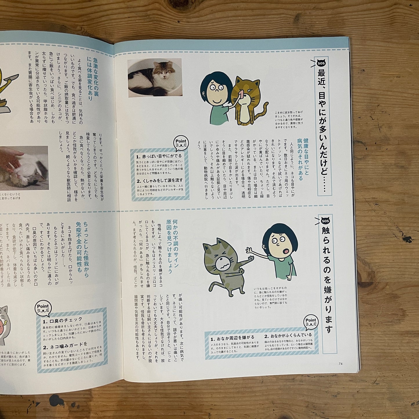 いちばんやさしい ネコの気持ちがわかる本 / The Easiest Guide to Understanding Your Cat