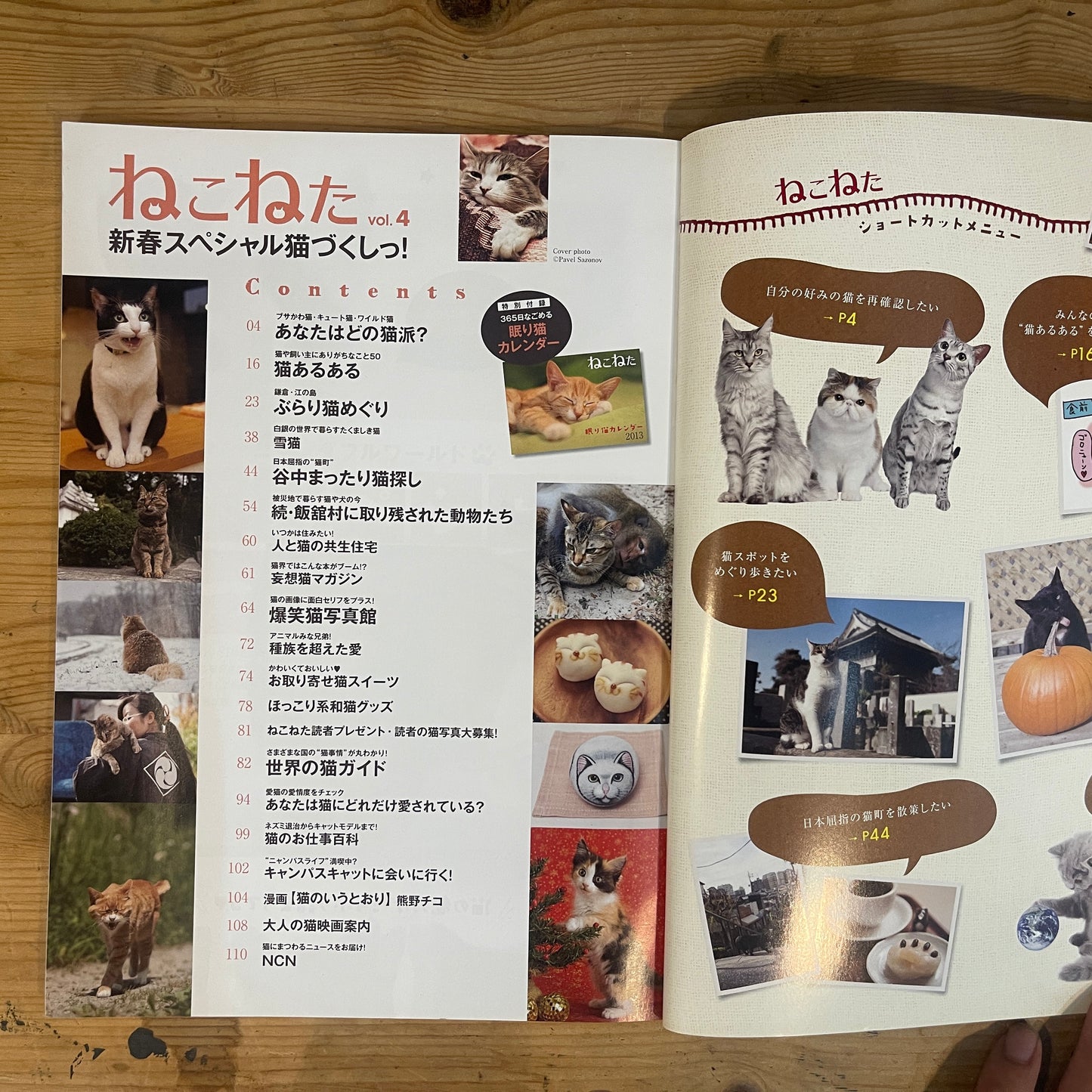 ねこねたvol.4 鎌倉・江ノ島 ぶらりねこ巡り / Nekoneta Vol.4 Kamakura & Enoshima Cat Stroll