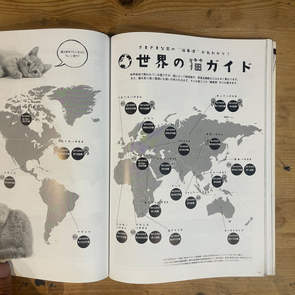 ねこねたvol.4 鎌倉・江ノ島 ぶらりねこ巡り / Nekoneta Vol.4 Kamakura & Enoshima Cat Stroll